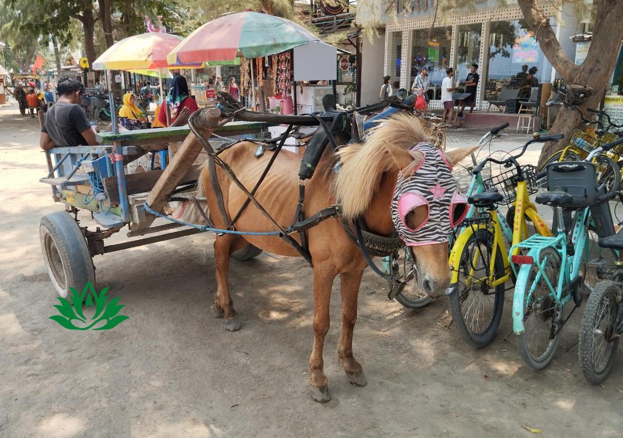 Energy Melati Gili Hotel Gili Trawangan Kültér fotó